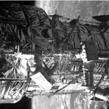 Thermal Blanketing